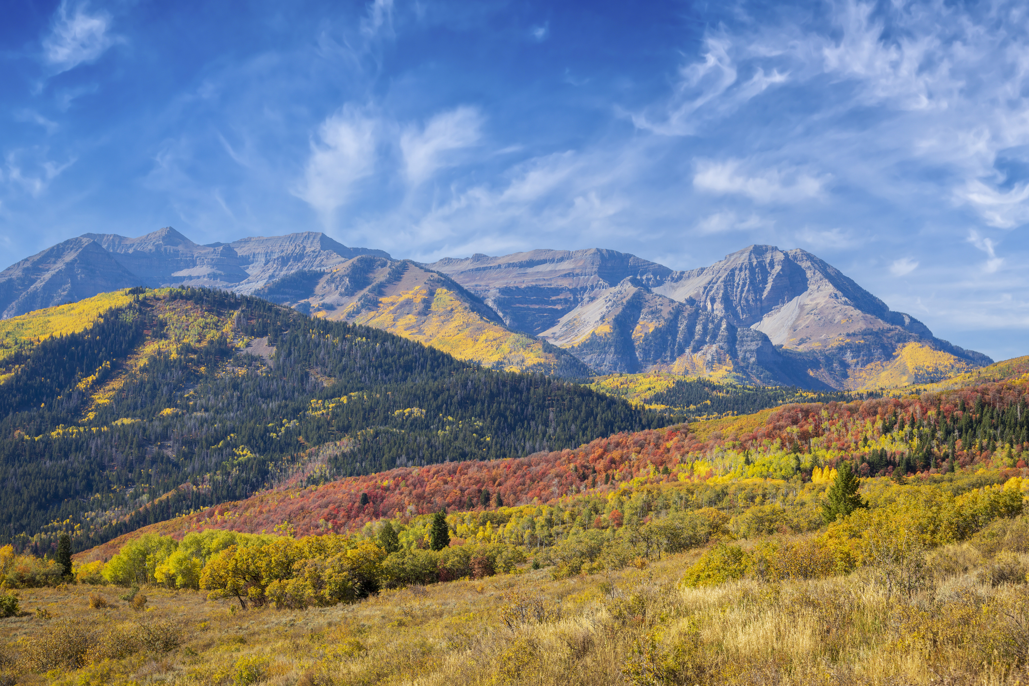 Autumn aspens beneath Mount Timpanogos